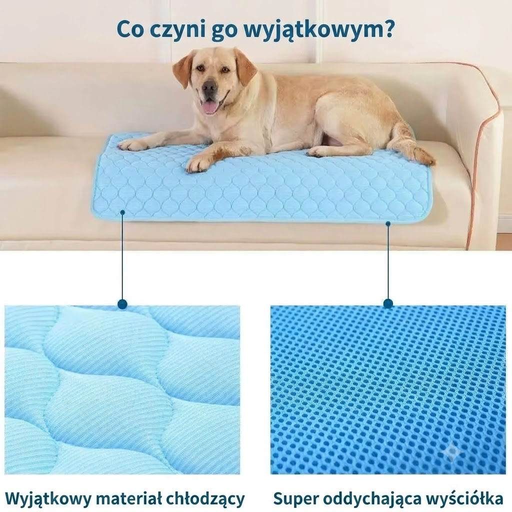 Chłodząca mata dla psa