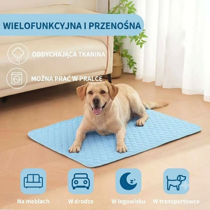Chłodząca mata dla psa